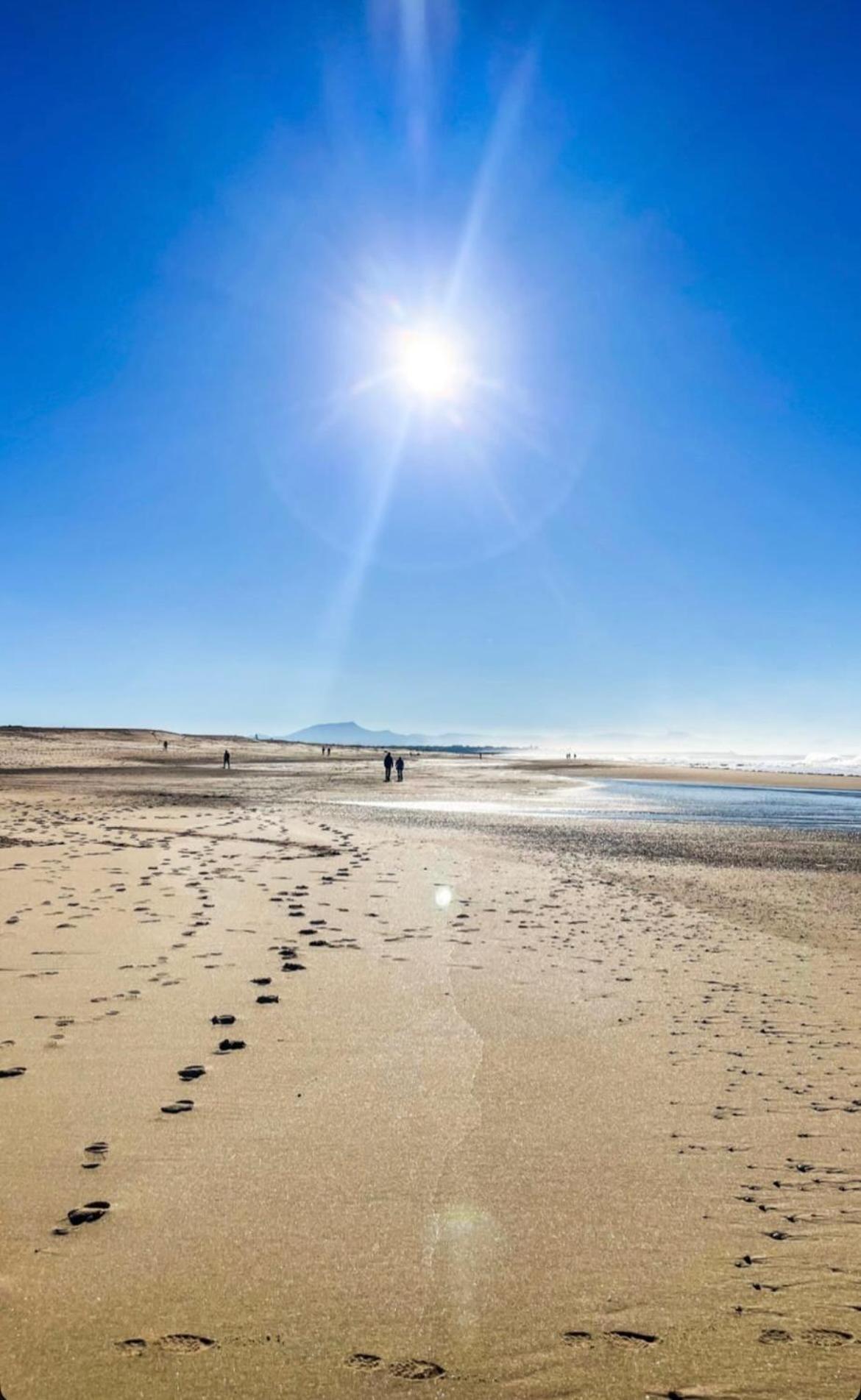 T3 Labenne Capacite 6 Couchages 10Min De La Plage Exteriér fotografie